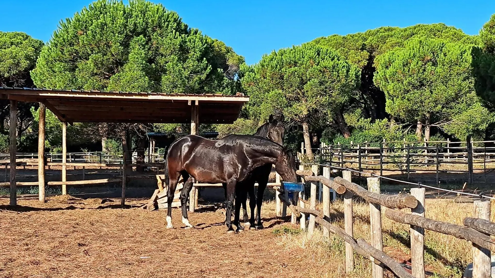 Mareblu - Tuscany Green Aparthotel Principina a Mare